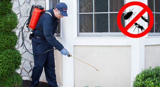 Balıkesir Kene İlaçlama böcek ilaçlama ve haşere kontrolü — ilaclama-tr.com